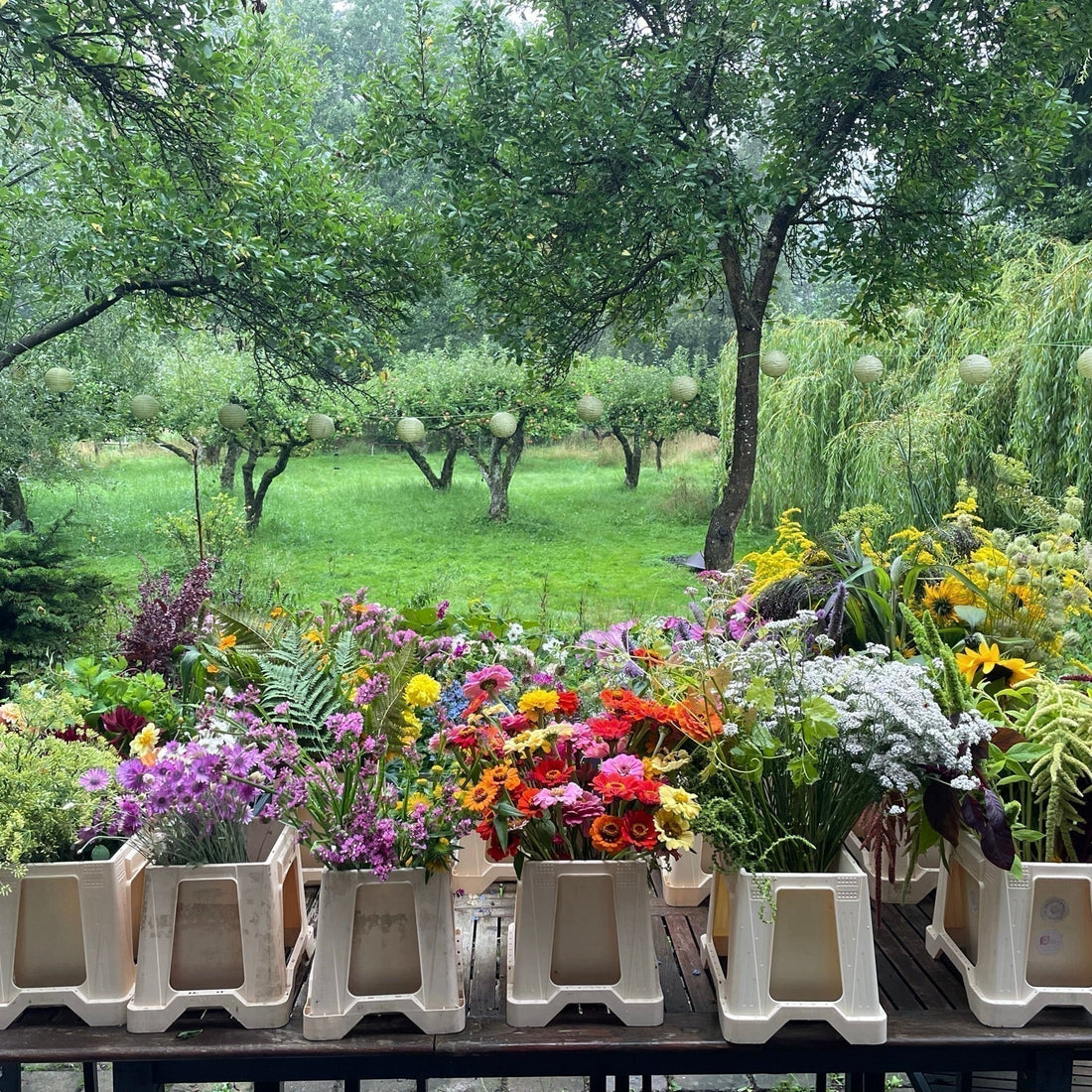 Sprøjtede blomster – hvad skjuler der sig i din buket?