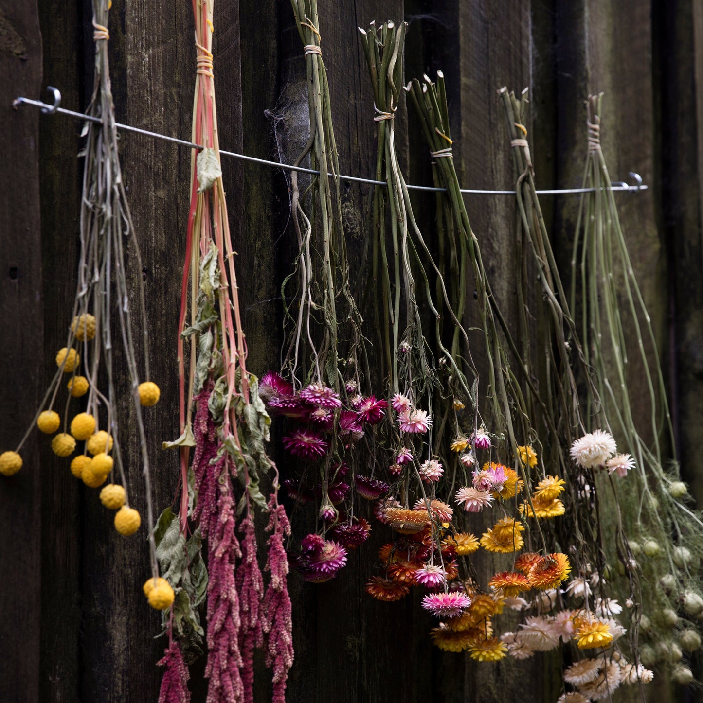 WORKSHOP🌿 Svævende natur-mobile med økologisk naturpynt