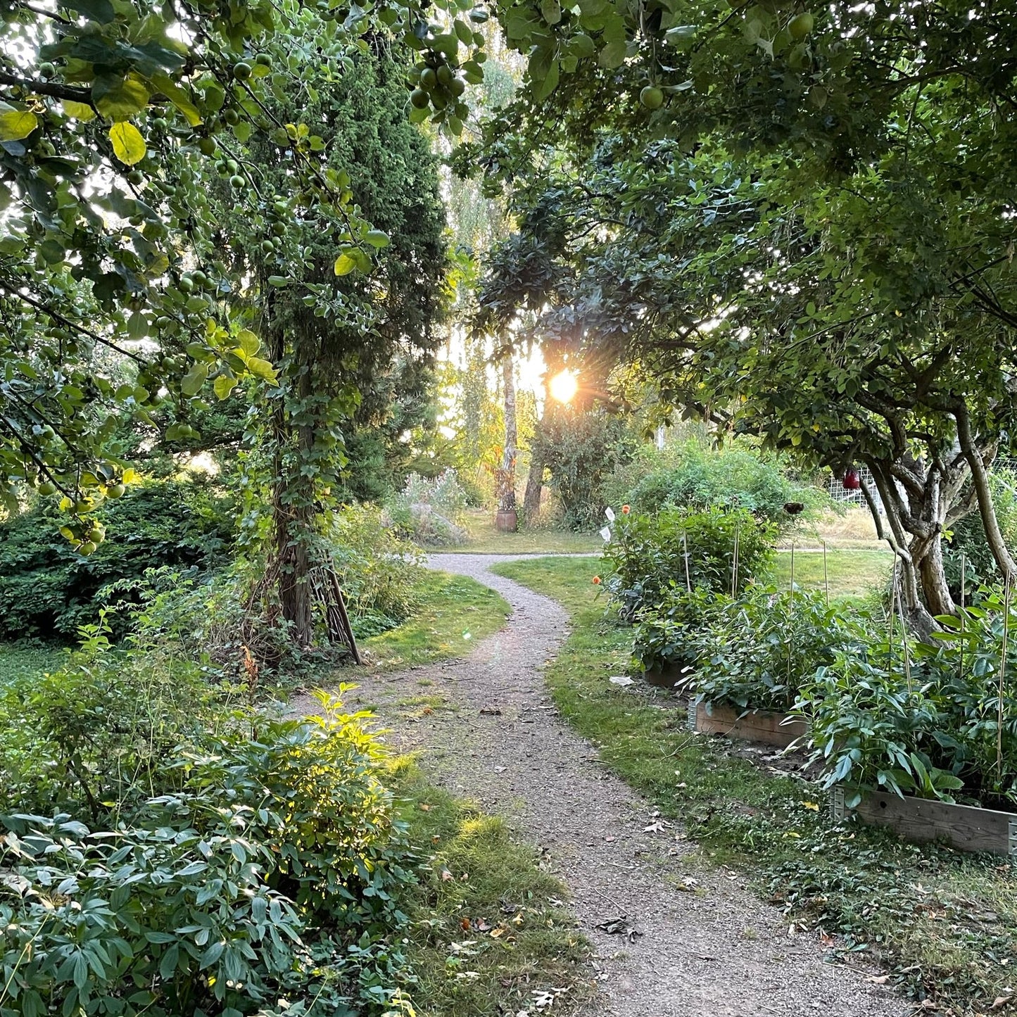 WORKSHOP🌿 Bind din egen store økologiske buket (inkl. havevandring)